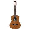 GUIT ACUST AC65 ARTIST