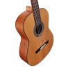 GUIT ACUST AC65 ARTIST