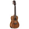 UKELELE RU90CP REGENT UKE