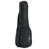 UKELELE RU90CP REGENT UKE