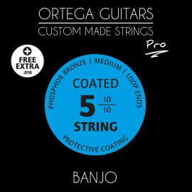 BANJO 4 PRO STRINGS BJP-5