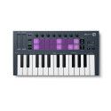 FL KEY MINI