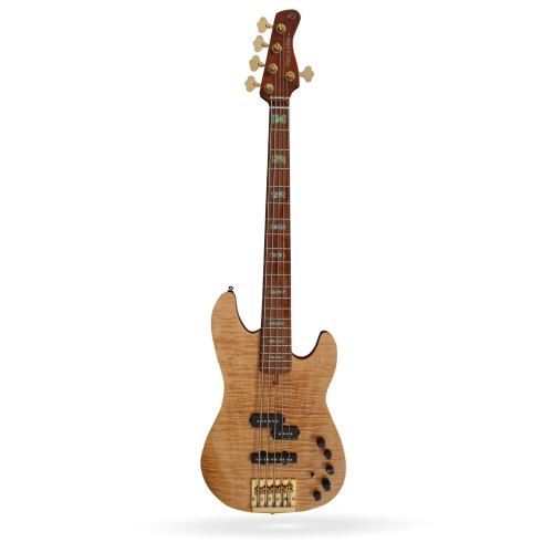 BAJO P10 DX-5 NT