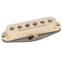 Psychedelic Strat Middle RwRp