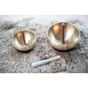 COSMOS THERAPY SUCTION HOLDER
