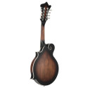 MANDOLIN, F-STYLE,WHISKEY BURS
