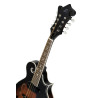 MANDOLIN, F-STYLE,WHISKEY BURS