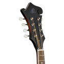 MANDOLIN, F-STYLE,WHISKEY BURS