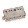 Slash 2.0 Neck HB Raw Nkl