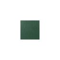 Estuche corneta BAM 3035SN Trekking Verde
