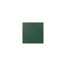 Estuche corneta BAM 3035SN Trekking Verde