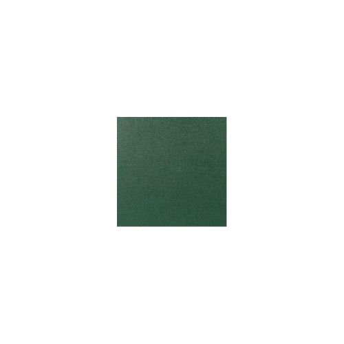 Estuche corneta BAM 3035SN Trekking Verde