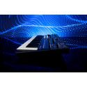 TECLADO WAVESTATE MK II