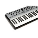 CARBON8 (37 KEYS)