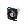 CONECTOR BNC FEED THROUGH GR.D