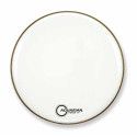 FORCE II GLOSS WHITE BD 20 FR2