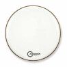 FORCE II GLOSS WHITE BD 20 FR2