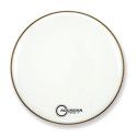 FORCE II GLOSS WHITE BD 22 FR2