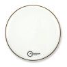 FORCE II GLOSS WHITE BD 22 FR2