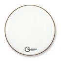 FORCE II GLOSS WHITE BD 24 FR2