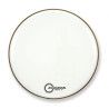 FORCE II GLOSS WHITE BD 24 FR2