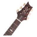 GUIT ELEC. MODERN EAGLE V CARR