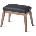 BANQ BG50-VINYL-BK