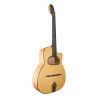 GUITARRA GYPSY JTG-11-D MATE