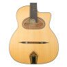 GUITARRA GYPSY JTG-11-D MATE
