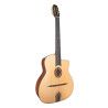 GUITARRA GYPSY JTG-11-0 GLOSS