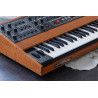 PROPHET-10 SPECIAL EDITION KEY