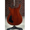 GUIT ELEC. PS#31 40TH MCCARTY