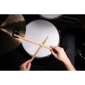 SB613 ALEX RUDINGER SIGN.DRUMS