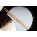 SB614 ANUP SASTRY SIGN.DRUMSTI
