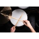 SB614 ANUP SASTRY SIGN.DRUMSTI