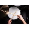 SB614 ANUP SASTRY SIGN.DRUMSTI