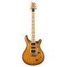 GUIT ELEC. SWAMP ASH SPECIAL M