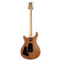 GUIT ELEC. CE22 LTD CARROLL BL
