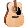 GUIT ACUST AD810 E OP w/bag