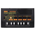 MODULO MONOTRON DELAY