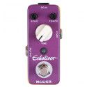 PEDAL ECHOLIZER DELAY