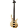 BAJO ELEC ACTION DLX AS OPN