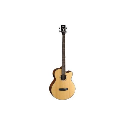 BAJO ACUST AB850F NT W/BAG