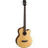 BAJO ACUST AB850F NT W/BAG