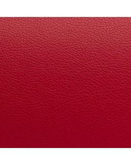 Estuche trompa Bam L'Étoile Hightech ET6001XL Rojo