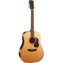 GUIT ACUST GOLD-D6 NAT W/CASE
