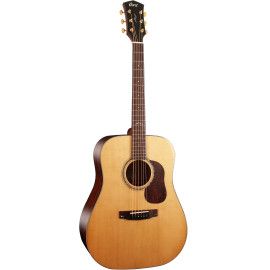 GUIT ACUST GOLD-D6 NAT W/CASE