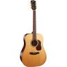 GUIT ACUST GOLD-D6 NAT W/CASE