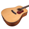 GUIT ACUST GOLD-D6 NAT W/CASE