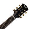 GUIT ACUST GOLD-D6 NAT W/CASE